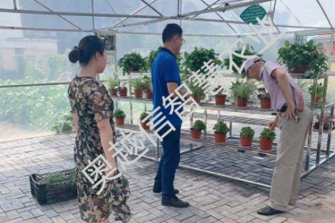 江蘇連云港市云臺農(nóng)場中心小學智能大棚