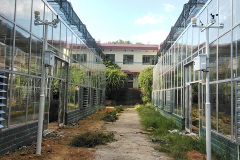 湖南職業(yè)技術(shù)學院玻璃智能溫室大棚項目