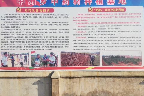 江西欣飛實(shí)業(yè)有限公司中藥材種植基地